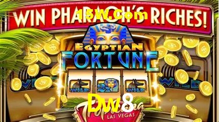 A Experiência Imersiva dos Cassinos Ao Vivo no Dw8